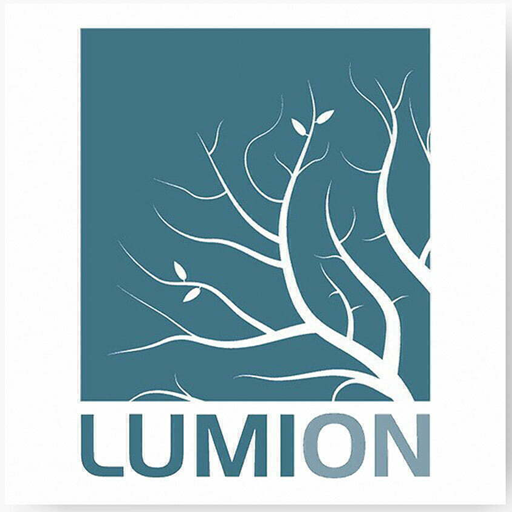 برنامج لوميون Lumion Pro 12